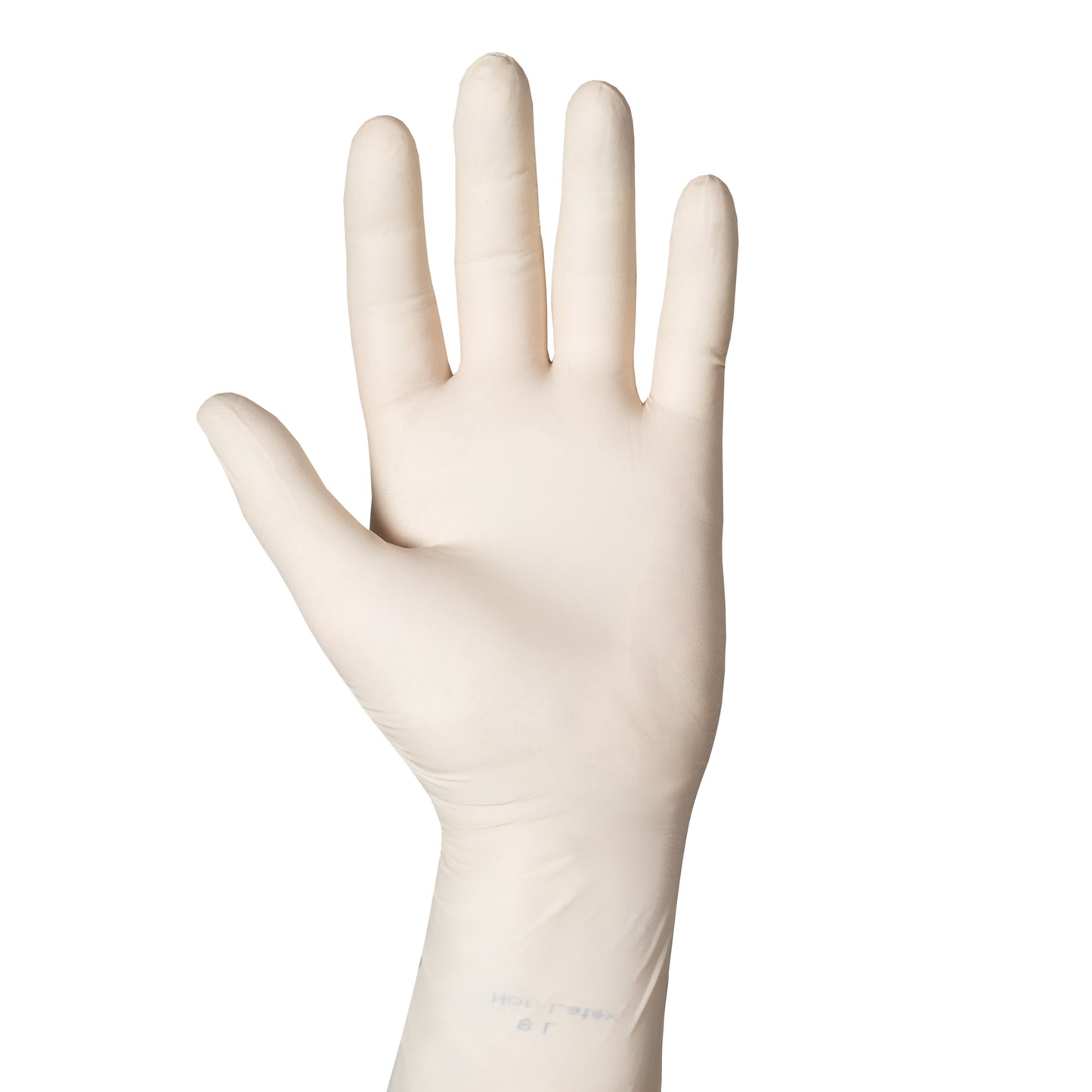 Surgeon Gloves - Chloroprene
